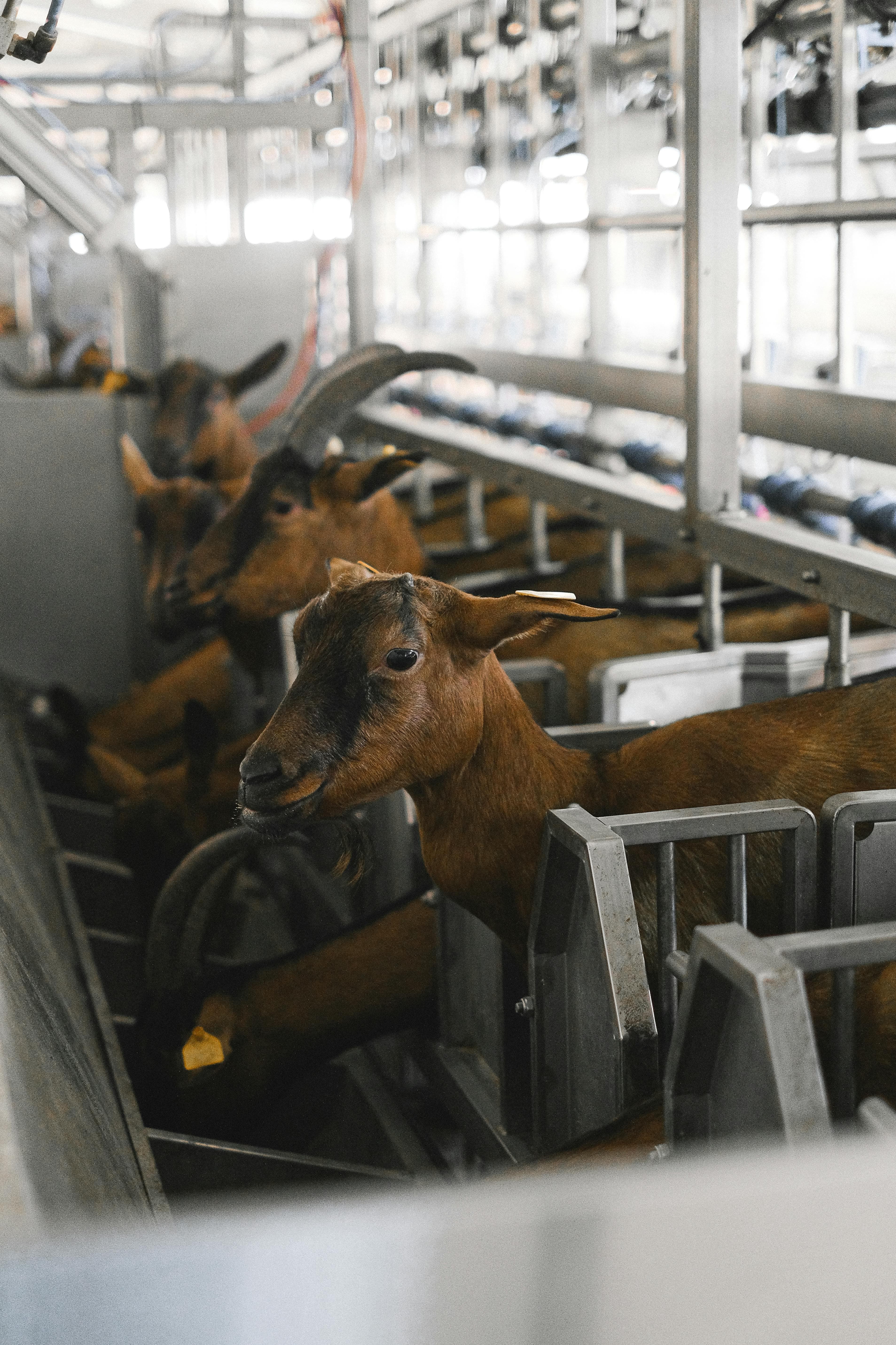 JTK Agriconsultancy Company